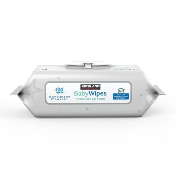 ADAP-2-1 Kirkland Signature Baby Wipes Fragrance Free, 900-count