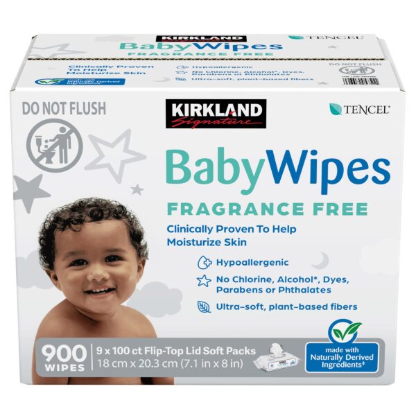 ADAP-2 kirkland signature baby wipes - unscented